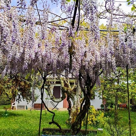 Casetta In Collina Sezze Exterior photo